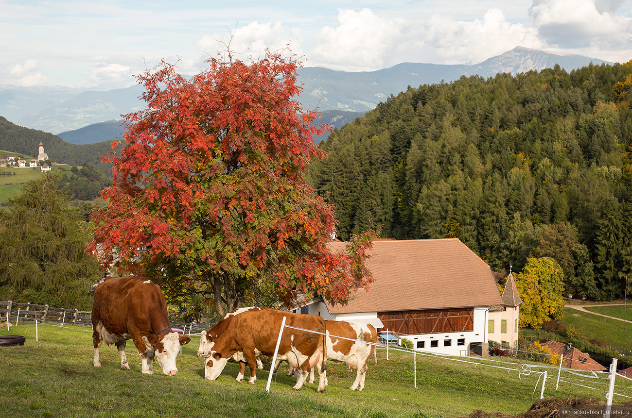Bolzano